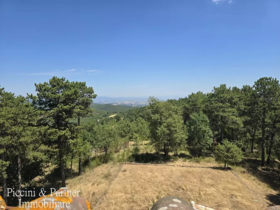 Immagine 46 di Villa in vendita  in Vocabolo Fiatello a San Venanzo