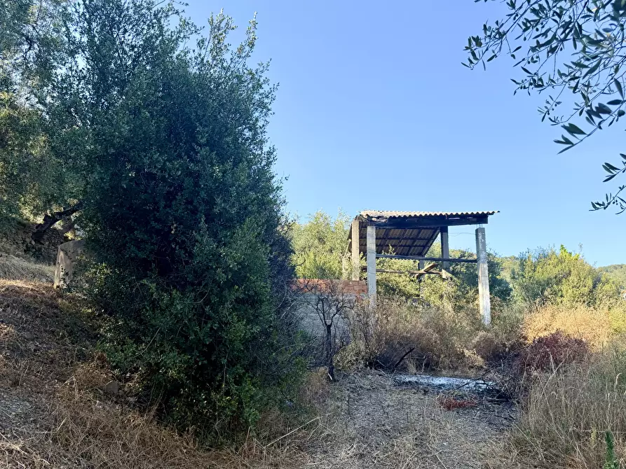 Immagine 2 di Terreno agricolo in vendita  in Via Chiappa 100 a San Bartolomeo Al Mare