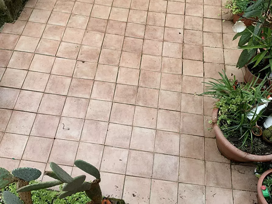 Immagine 23 di Terratetto in vendita  a Camaiore