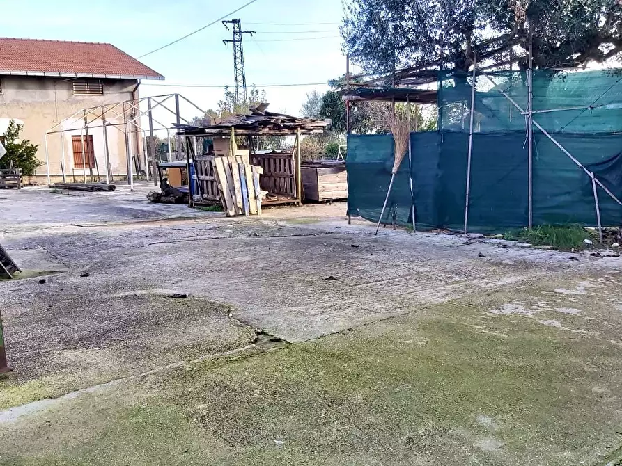 Immagine 8 di Attività artigianale in affitto  in Via Papa Giovanni XXIII' 2 a Frisa