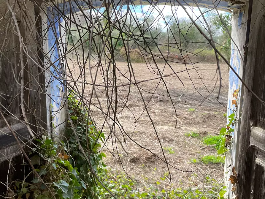 Immagine 31 di Rustico / casale in vendita  in C.DA CASTELLANA a Treglio