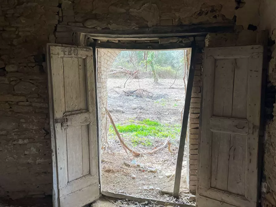 Immagine 35 di Rustico / casale in vendita  in C.DA CASTELLANA a Treglio