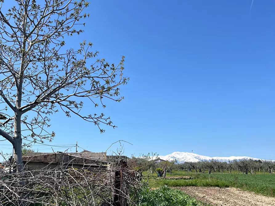 Immagine 22 di Quadrilocale in vendita  in Via Provinciale della Rocca 39 a Santa Maria Imbaro