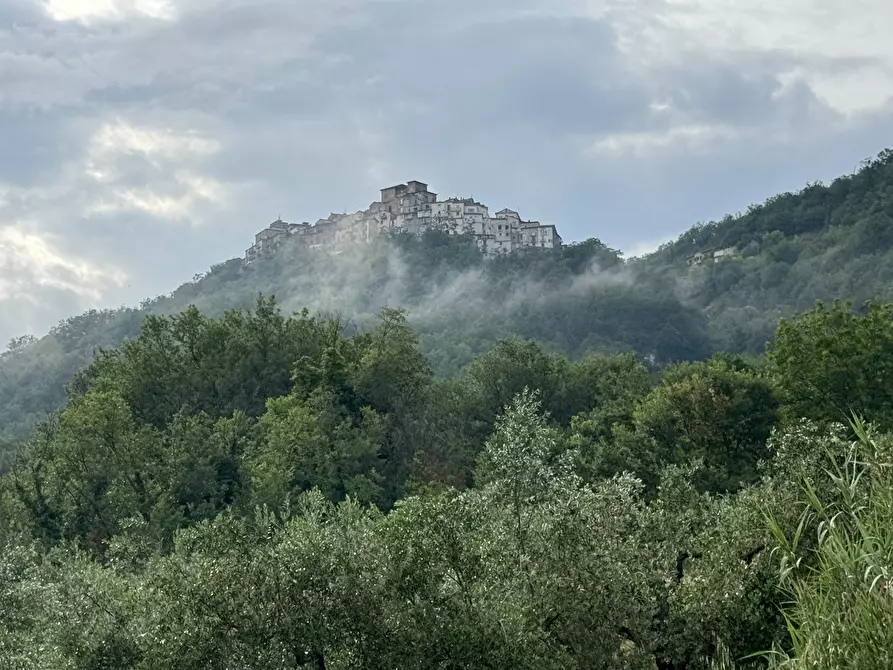 Immagine 60 di Appartamento in vendita  in Palmoli a Palmoli