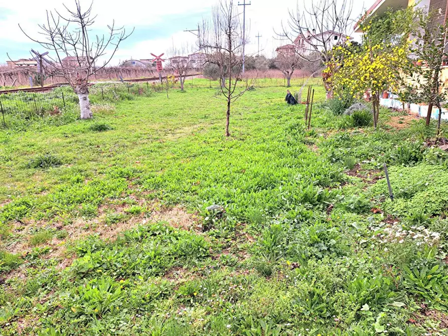 Immagine 35 di Rustico / casale in vendita  in Contrada da Cona 34 a San Vito Chietino