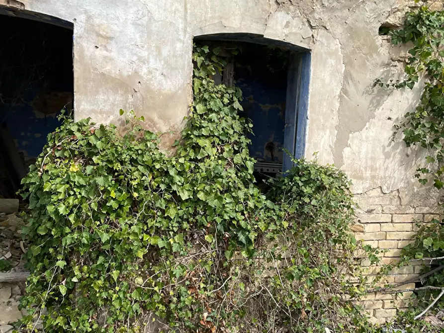 Immagine 28 di Rustico / casale in vendita  in C.DA CASTELLANA a Treglio