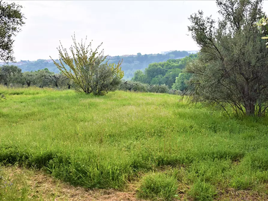 Immagine 8 di Terreno industriale in vendita  in contrada puglianna a Treglio