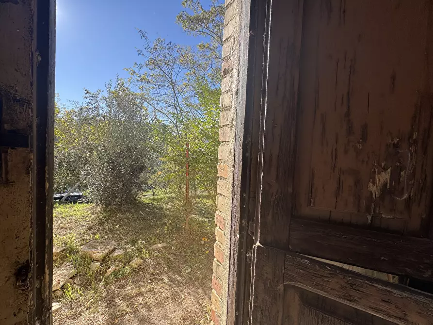 Immagine 48 di Rustico / casale in vendita  a Atessa
