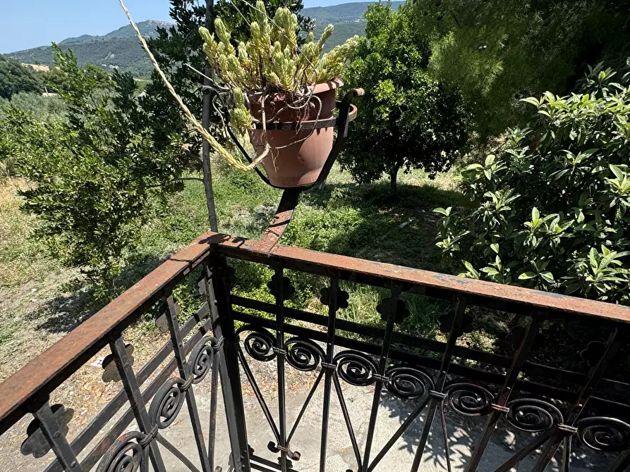 Immagine 5 di Casa semindipendente in vendita  in Via Lascianna 9 a Roccascalegna