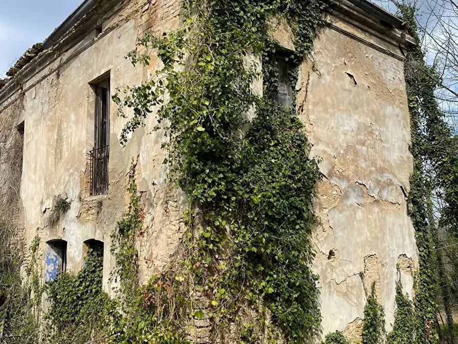 Immagine 40 di Rustico / casale in vendita  in C.DA CASTELLANA a Treglio