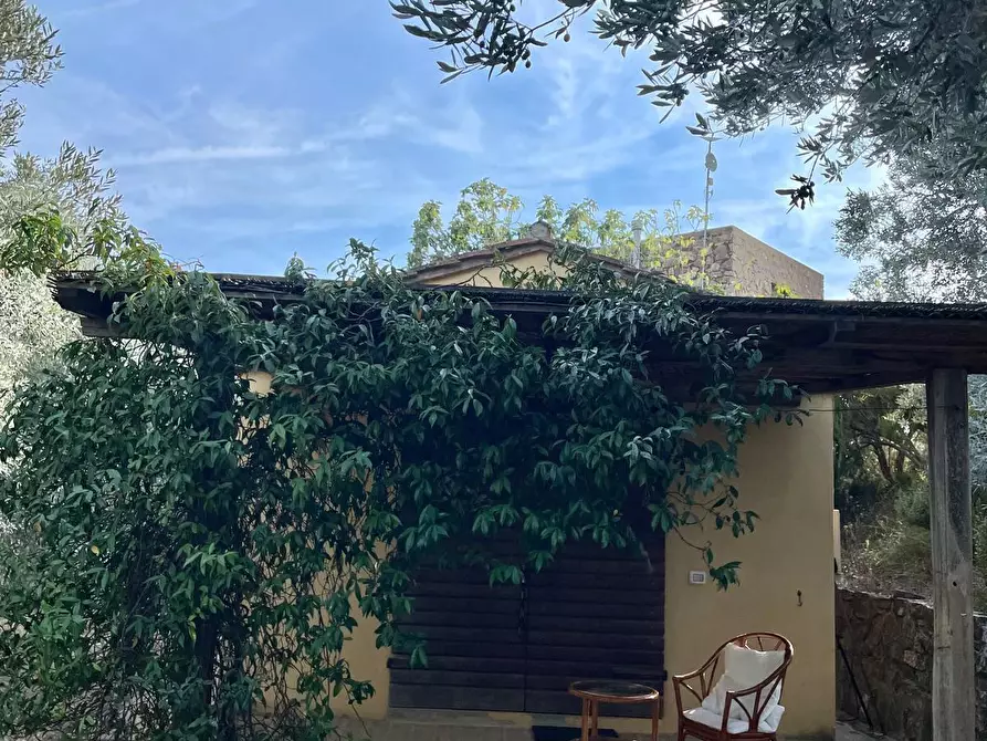 Immagine 31 di Rustico / casale in vendita  in Via della Sassetta a Castagneto Carducci