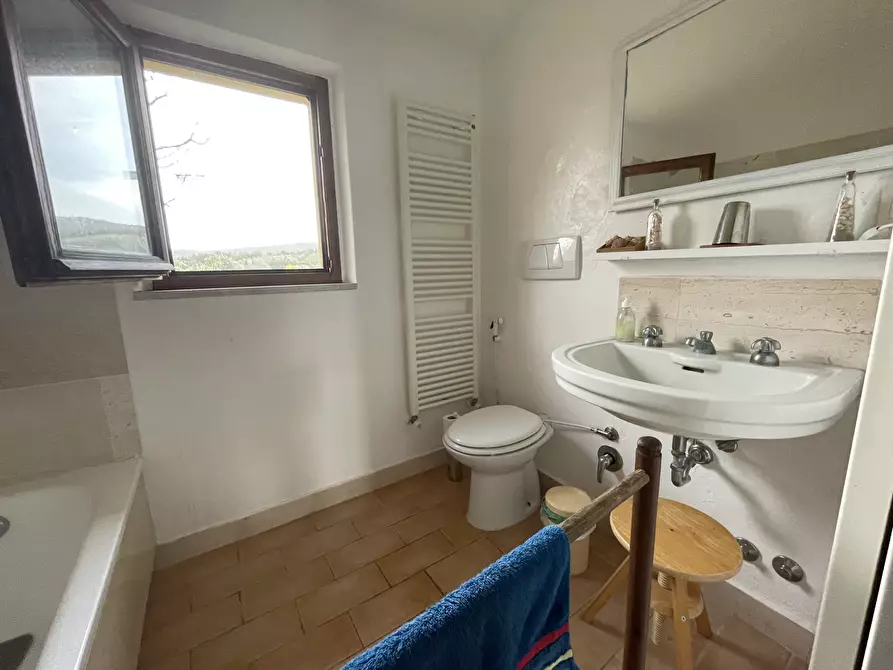 Immagine 10 di Rustico / casale in vendita  in Via della Sassetta a Castagneto Carducci