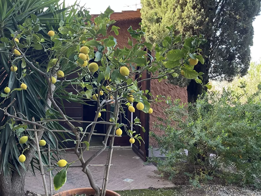 Immagine 28 di Villa in vendita  in Via Aurelia Sud a San Vincenzo