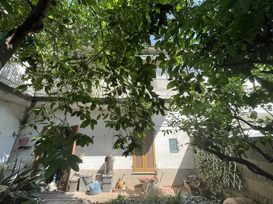Immagine 19 di Casa indipendente in vendita  in Via Monte Grappa a Cecina