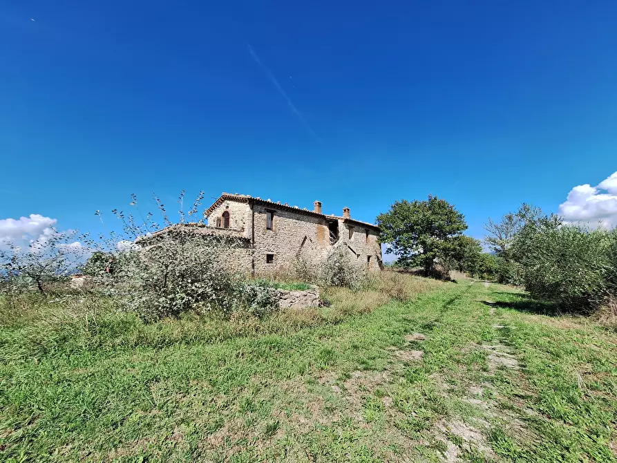 Immagine 33 di Rustico / casale in vendita  in Vocabolo Pupiglian 1 a Guardea