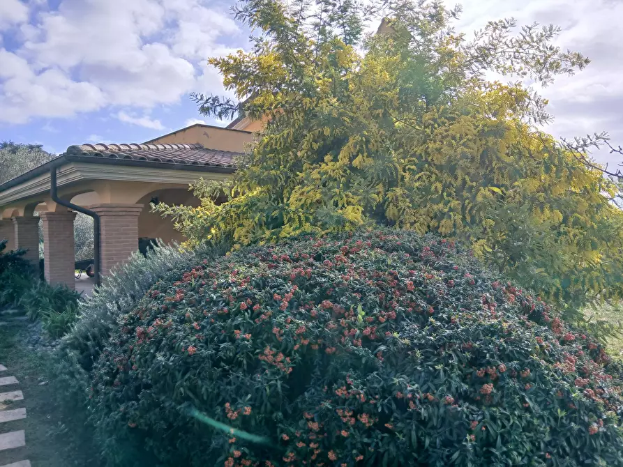 Immagine 131 di Villa in vendita  in Via Aldo Moro 889 a Morlupo