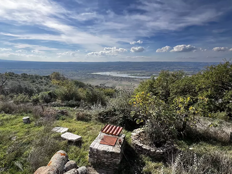 Immagine 91 di Rustico / casale in vendita  in Vocabolo Pupiglian 1 a Guardea