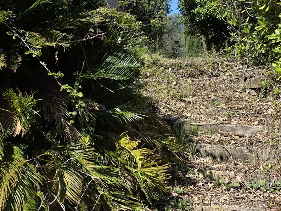 Immagine 17 di Terreno agricolo in vendita  in Via Enrico Fermi 13 a Morlupo