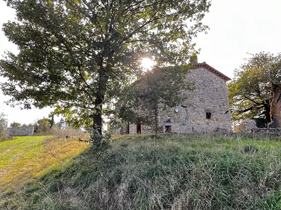 Immagine 102 di Rustico / casale in vendita  in Vocabolo Pupiglian 1 a Guardea