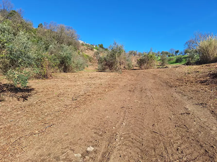 Immagine 17 di Terreno agricolo in vendita  in Via delle Grotte 1521 a Morlupo