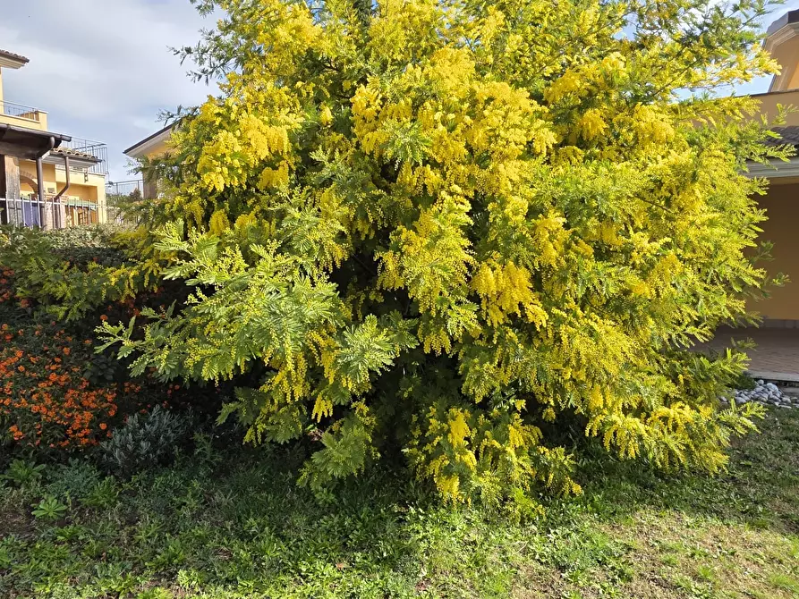 Immagine 14 di Villa in vendita  in Via Aldo Moro 889 a Morlupo