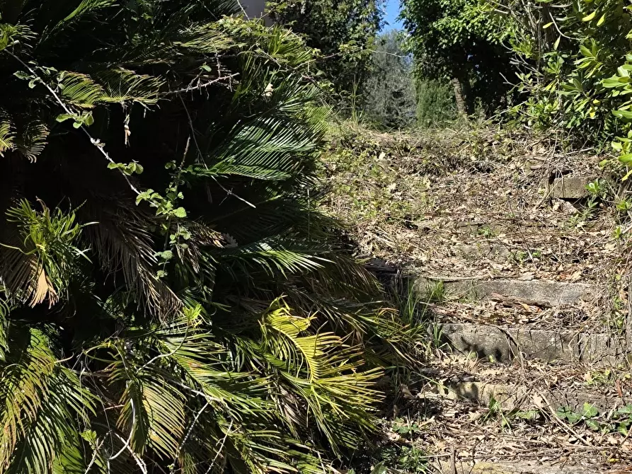 Immagine 35 di Rustico / casale in vendita  in Via Enrico Fermi 10 a Morlupo