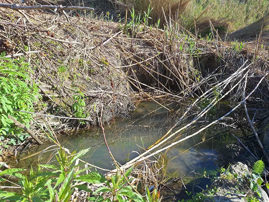Immagine 6 di Terreno agricolo in vendita  in Via delle Grotte 1521 a Morlupo