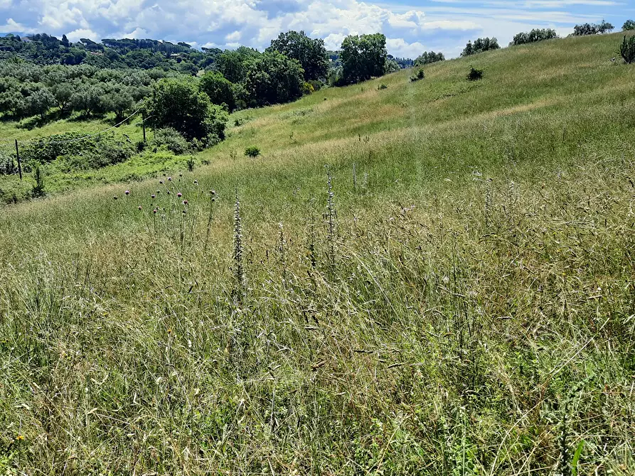 Immagine 5 di Terreno agricolo in vendita  in Via delle Grotte 2920 a Morlupo