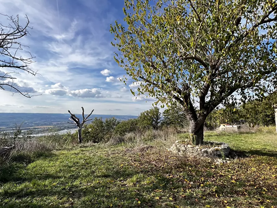 Immagine 100 di Rustico / casale in vendita  in Vocabolo Pupiglian 1 a Guardea