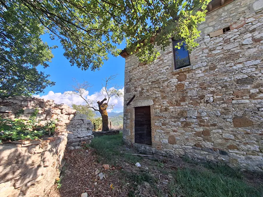 Immagine 32 di Rustico / casale in vendita  in Vocabolo Pupiglian 1 a Guardea