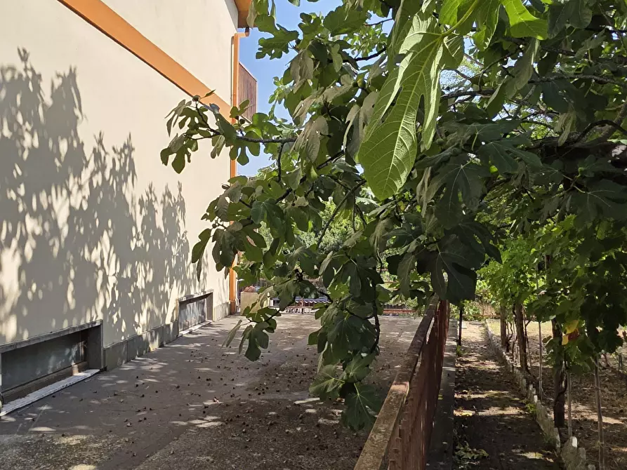 Immagine 37 di Palazzo in vendita  in Via Giovanni Pascoli 18 a Morlupo