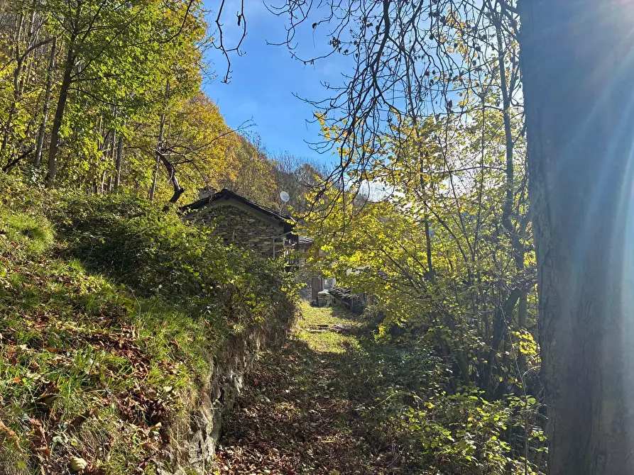 Immagine 9 di Terratetto in vendita  in FRAZIONE LE COSTE 11 a Lemie