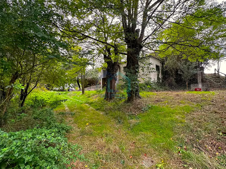 Immagine 16 di Appartamento in vendita  in Località Girini 29 a Dego