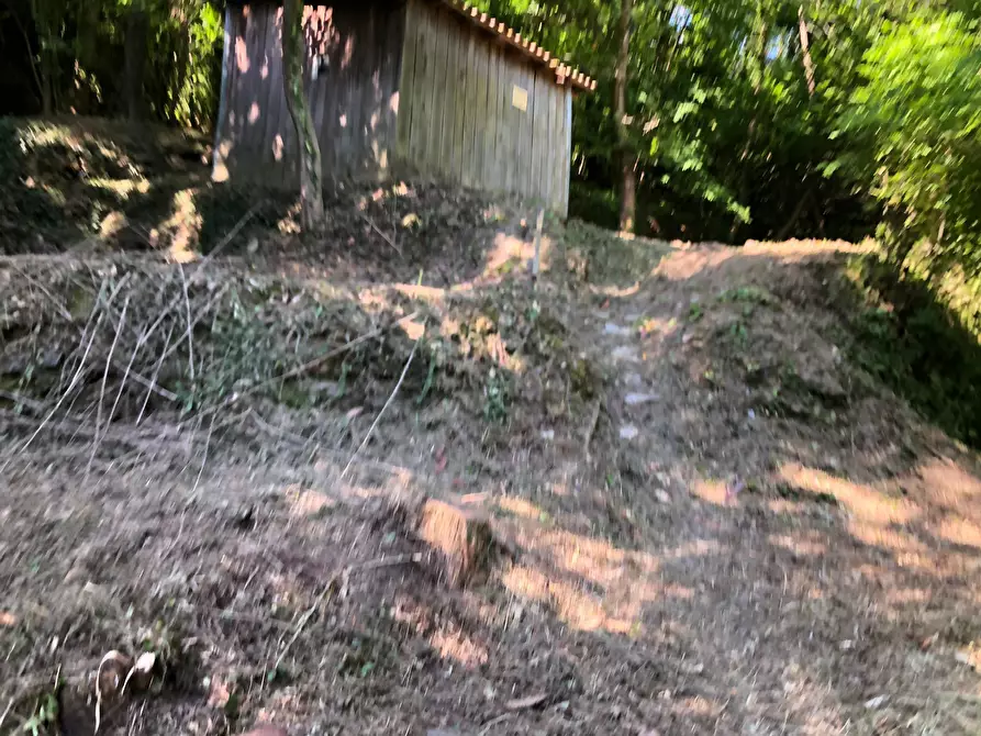 Immagine 4 di Terreno agricolo in vendita  a Leivi