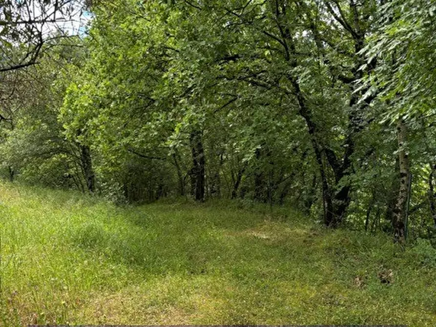 Immagine 6 di Terreno industriale in vendita  in Via degli Imberta a Londa