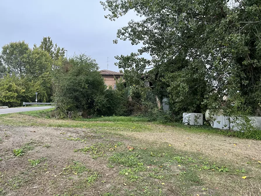 Immagine 12 di Rustico / casale in vendita  a Crevalcore