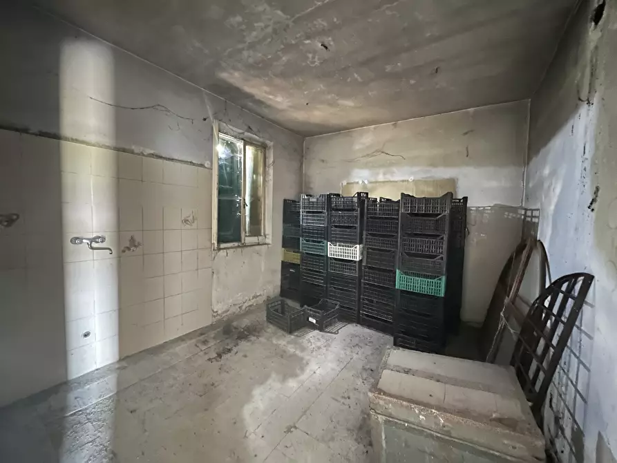 Immagine 10 di Rustico / casale in vendita  in Via Madonna 14 a Camposanto