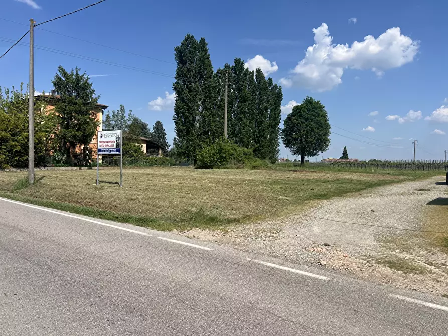 Immagine 5 di Terreno edificabile in vendita  in Via per Riolo 46 a Castelfranco Emilia