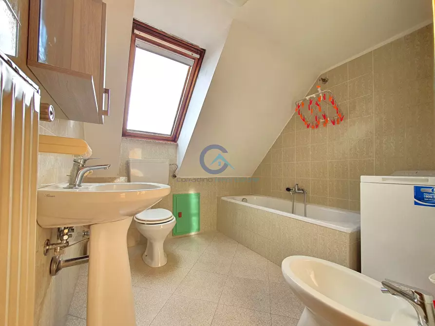 Immagine 11 di Trilocale in affitto  a Catanzaro