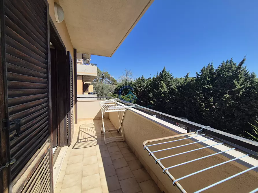 Immagine 14 di Quadrilocale in affitto  in Via dei Conti Falluc 126 a Catanzaro