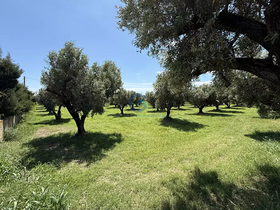 Immagine 2 di Terreno industriale in vendita  in Via Bellino 67 a Catanzaro
