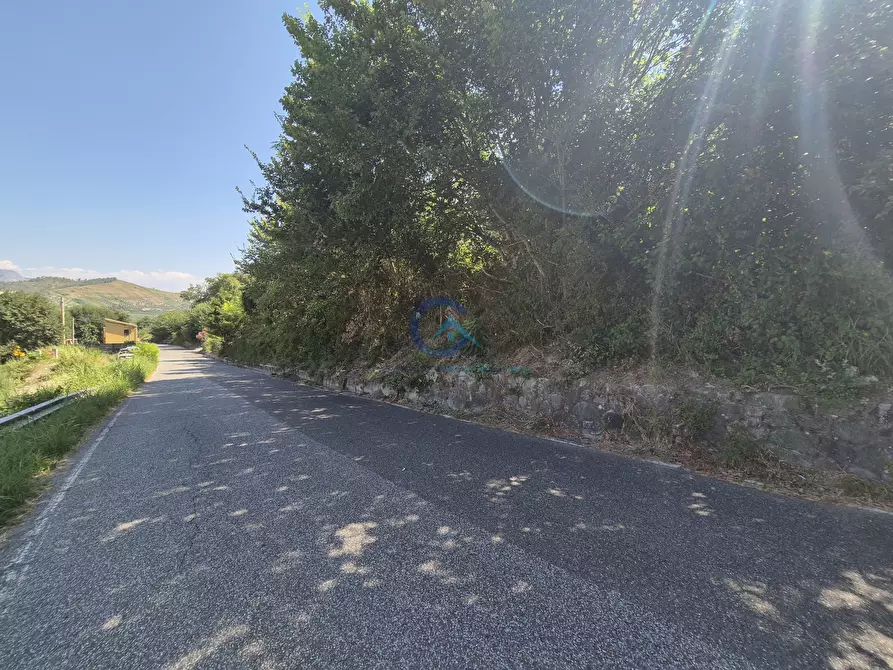 Immagine 3 di Terreno agricolo in vendita  a Caraffa Di Catanzaro