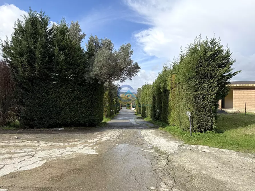 Immagine 11 di Villa in vendita  in Contrada Mula 26 a Catanzaro