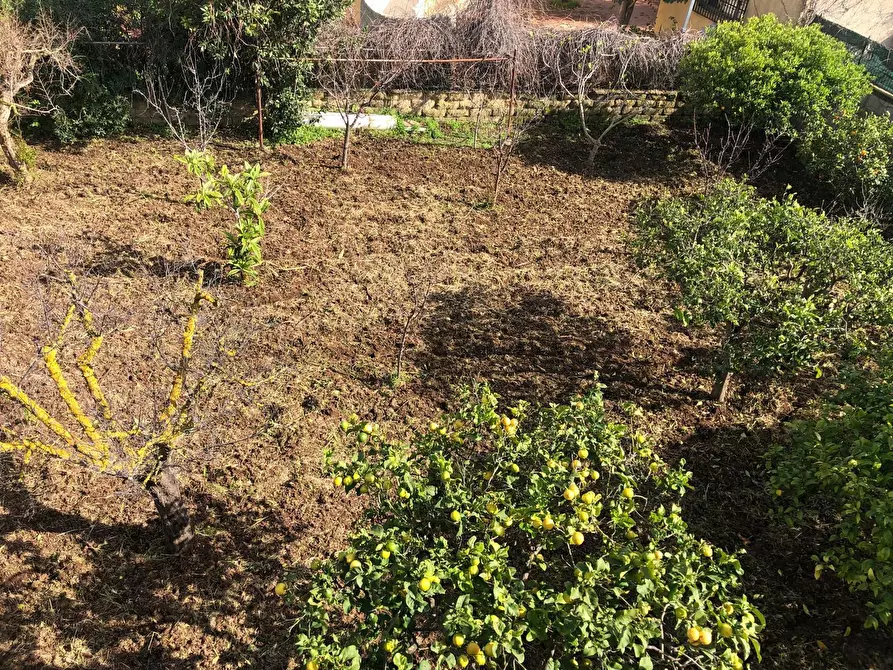 Immagine 74 di Casa indipendente in vendita  in VIA ISOLE DELLA  CALEDONIA a Siracusa