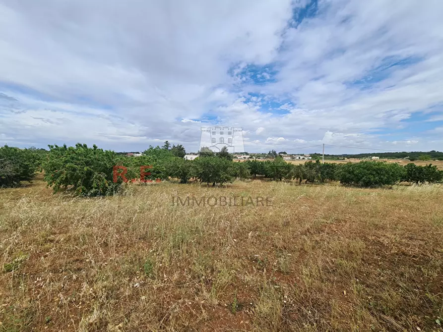 Immagine 23 di Baita in vendita  in Via ospedale a Martina Franca