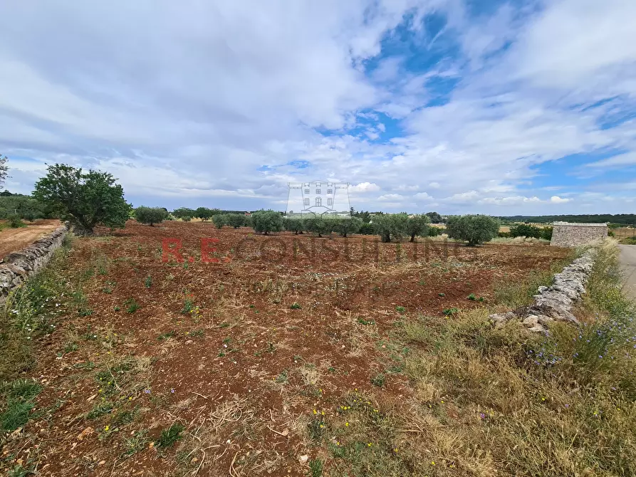 Immagine 8 di Baita in vendita  in Via ospedale a Martina Franca
