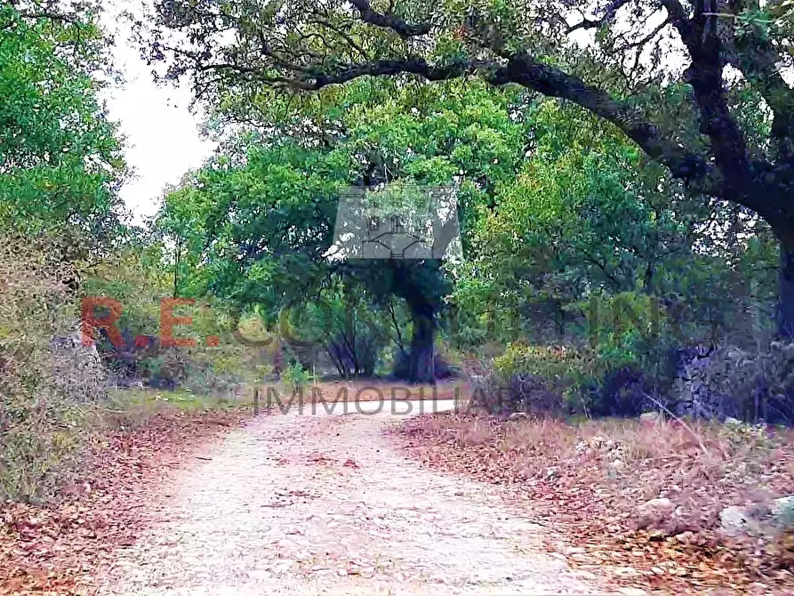 Immagine 30 di Rustico / casale in vendita  in Masseria Corallo snc a Martina Franca