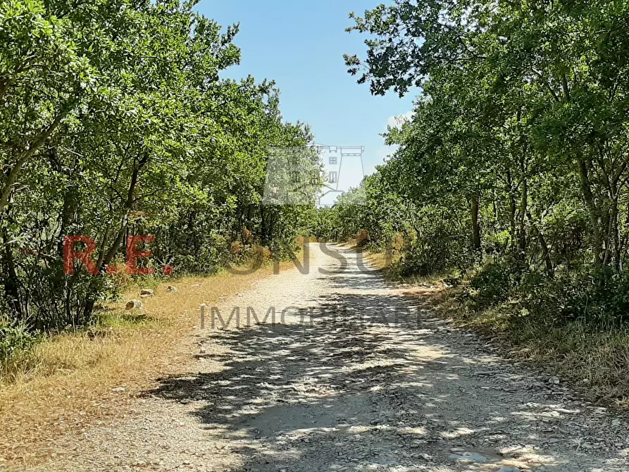 Immagine 25 di Rustico / casale in vendita  in Masseria Corallo snc a Martina Franca