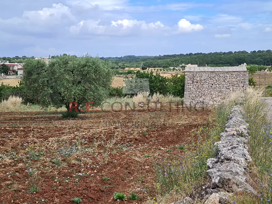 Immagine 5 di Baita in vendita  in Via ospedale a Martina Franca