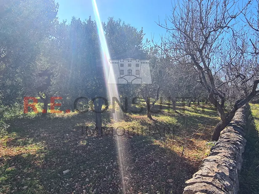 Immagine 34 di Baita in vendita  in Contrada Montemichele 14 a Ostuni